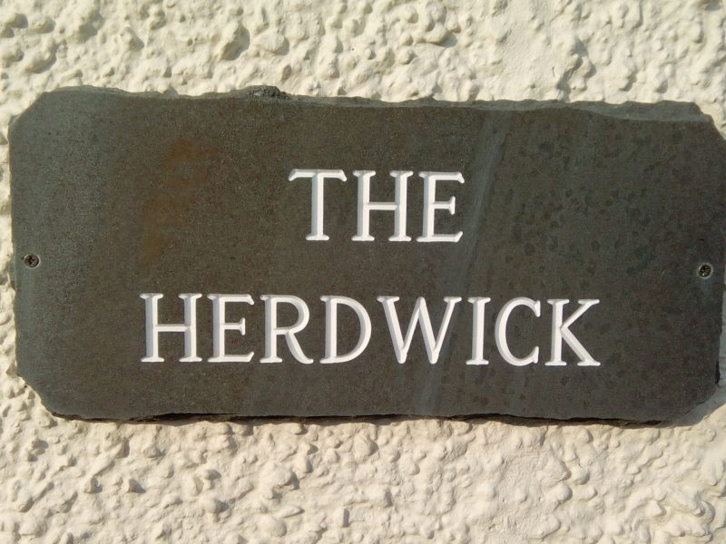 The Herdwick