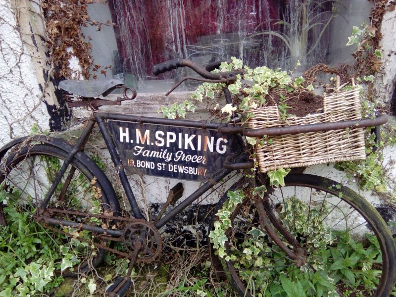 Bike Cavendish Arms