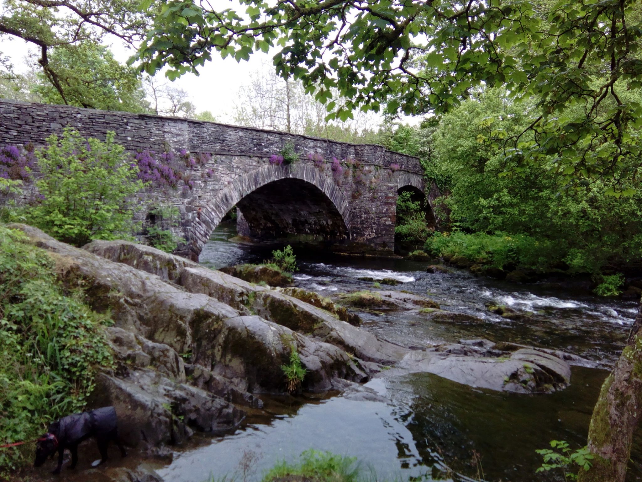 Skelwith Bridge - The Guestbooks