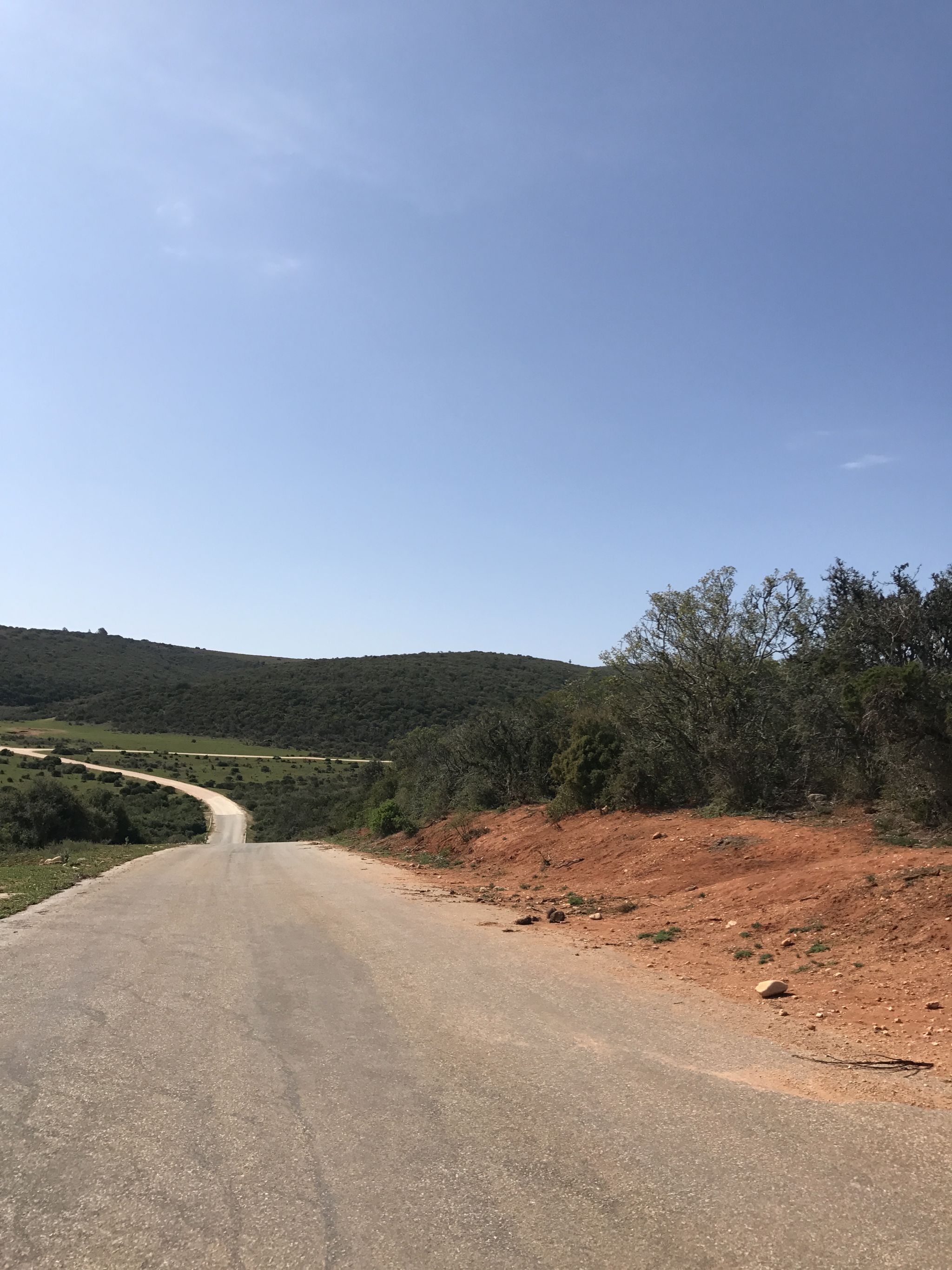 One of the paved roads in Addo