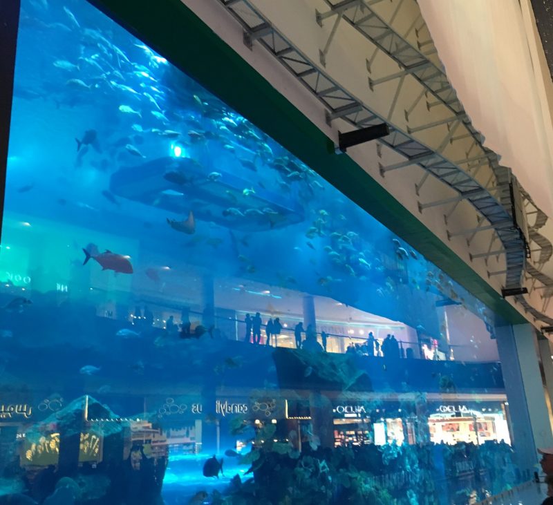 Dubai Mall Aquarium