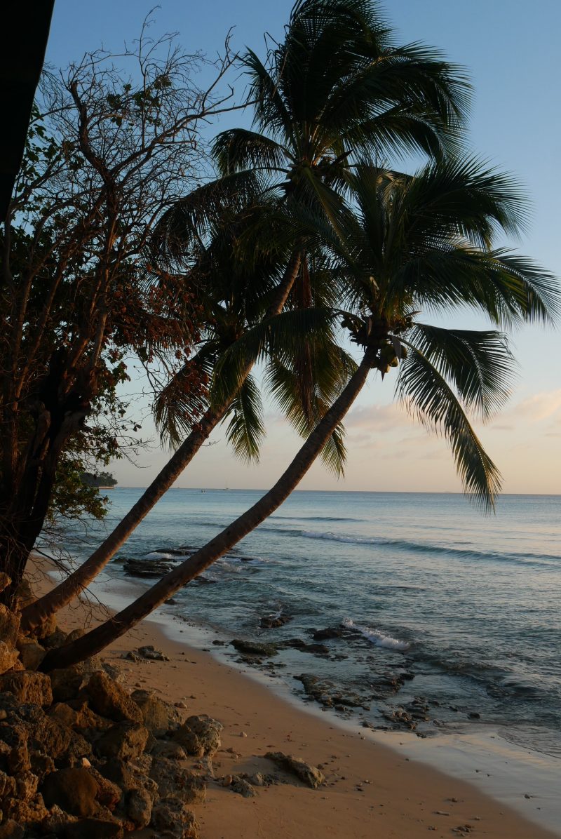 Barbados west coast beach