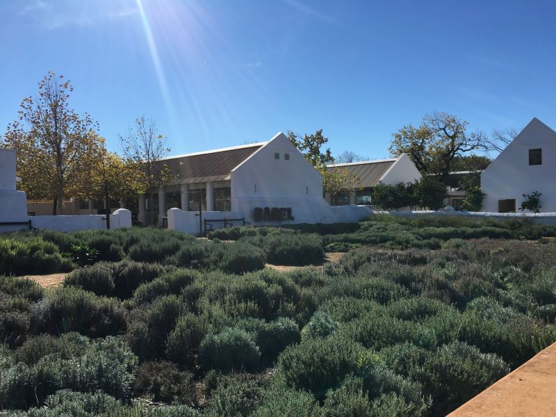 Babel-Babylonstoren-Cape-Winelands