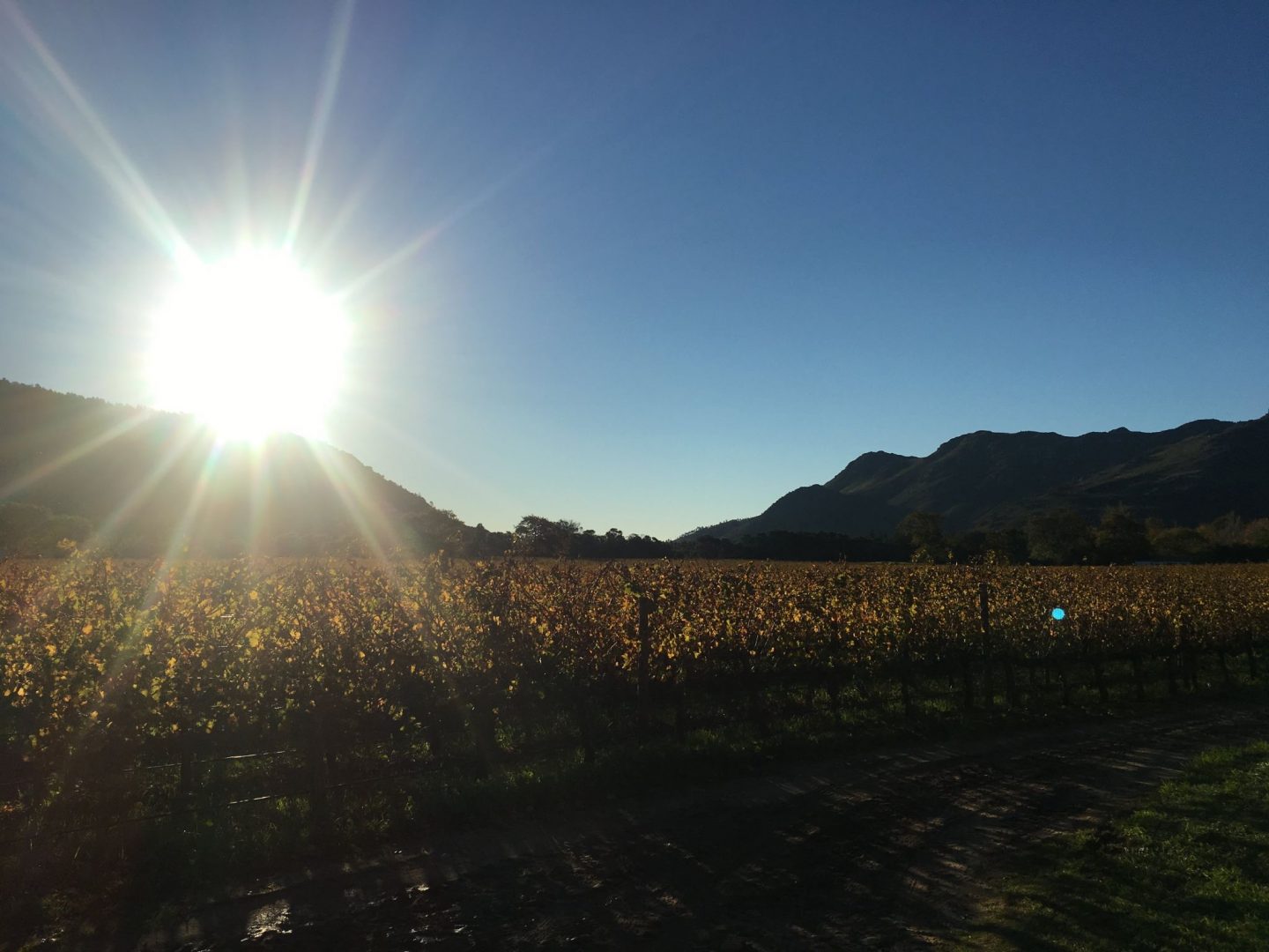 Sunset-Franschhoek-Cape-Winelands