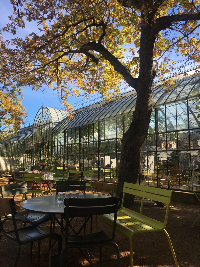 Greenhouse-Babylonstoren-Cape-Winelands