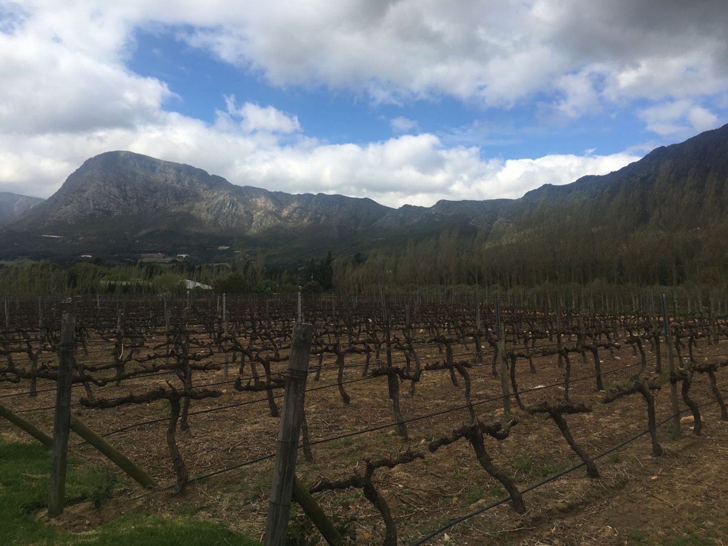 Holden_Manz_Franschhoek