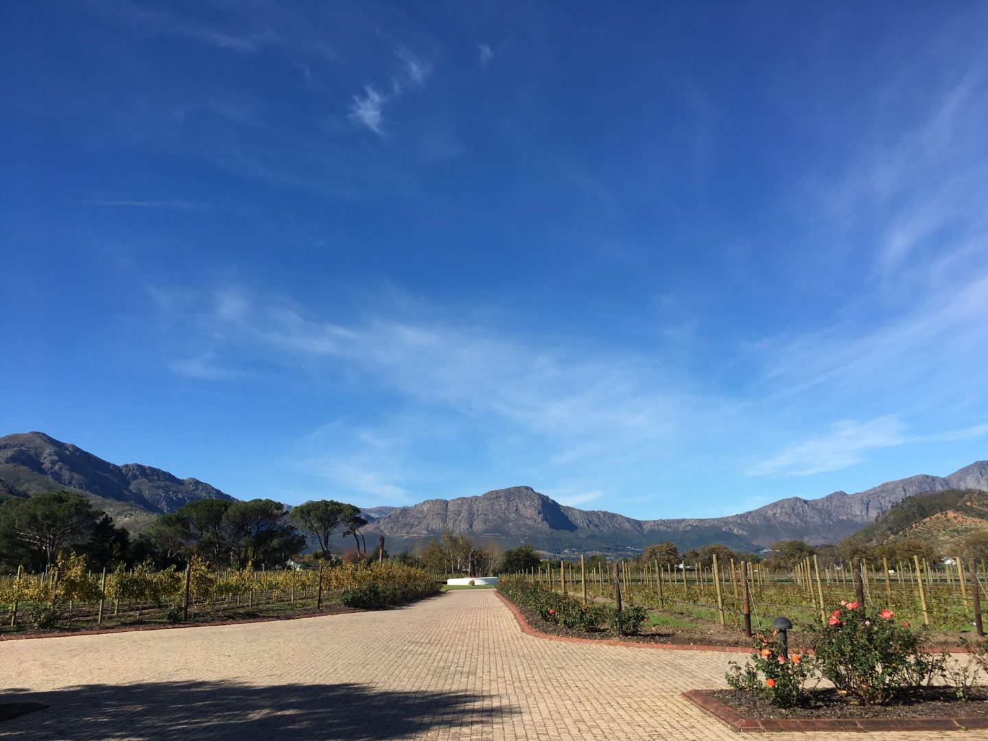 La-Motte-Franschhoek-Cape-Winelands