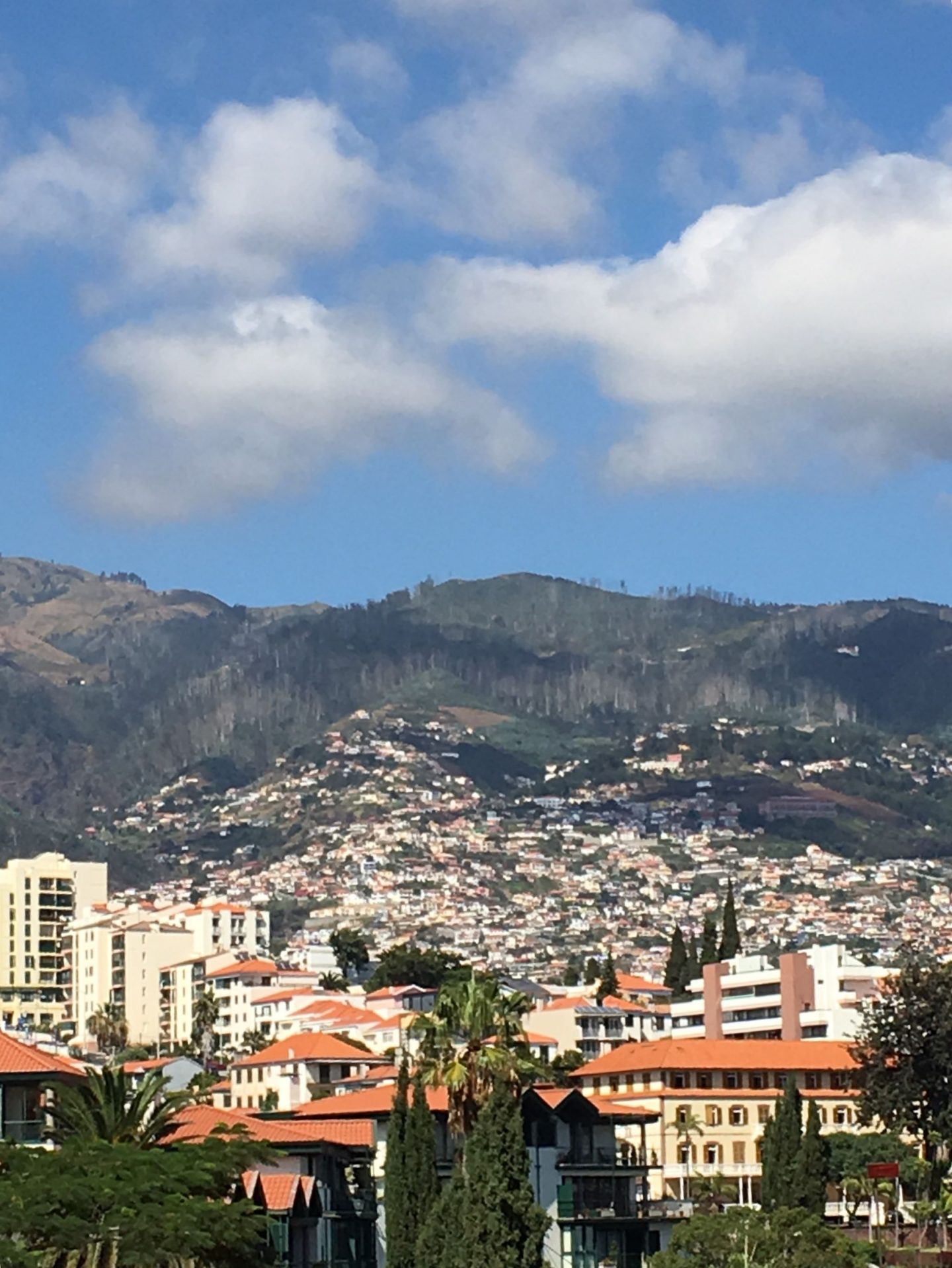 view of Funchal