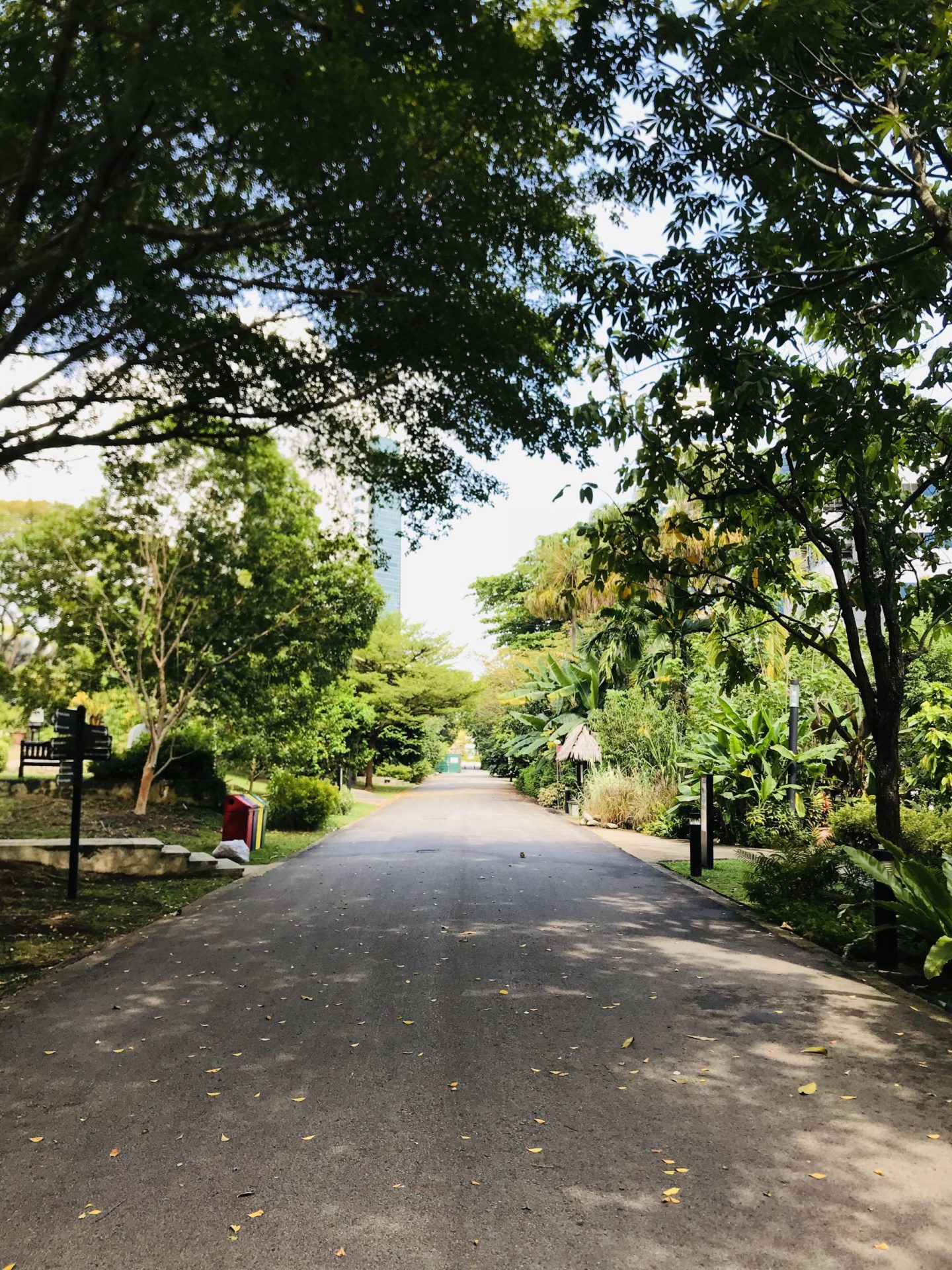 Hort-Park-Main-Path