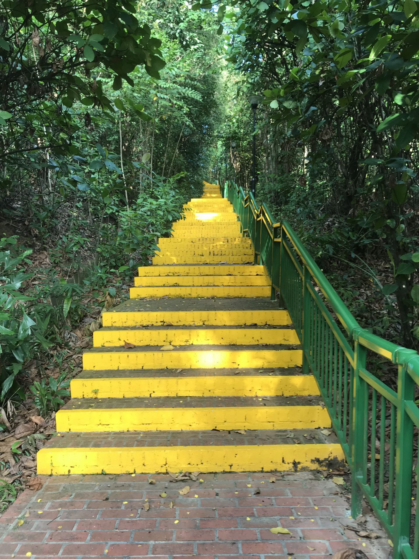 Steps-Kent-Ridge-Park