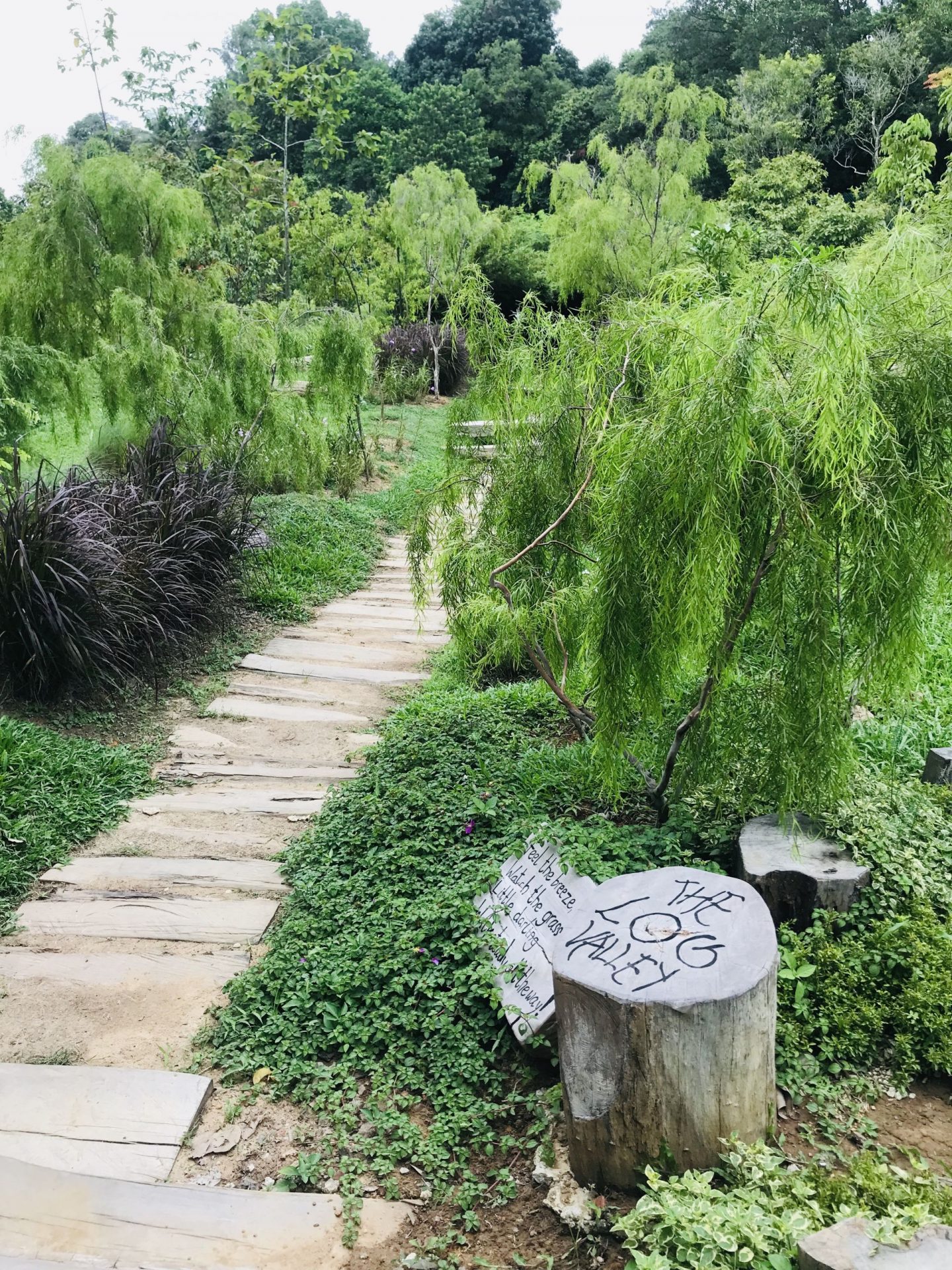 Nature-Playground-Hort-Park