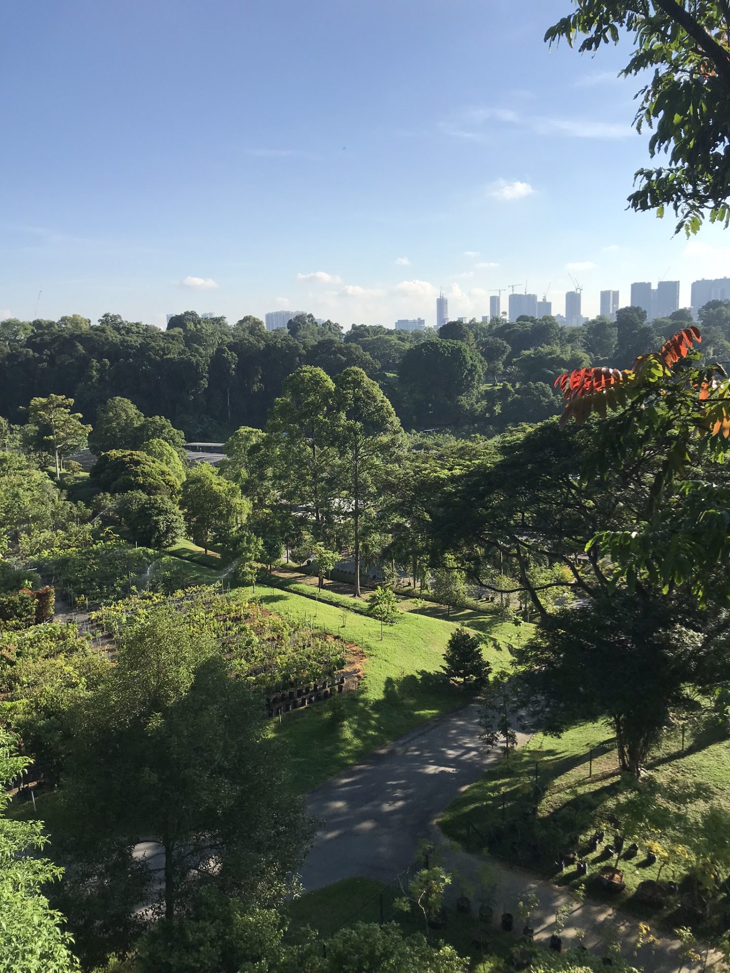 Kent Ridge Park – What to see and do with kids