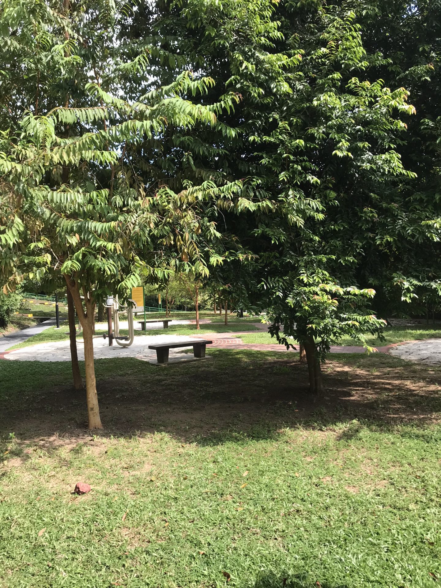 Fitness-equipment-Kent-Ridge-Park