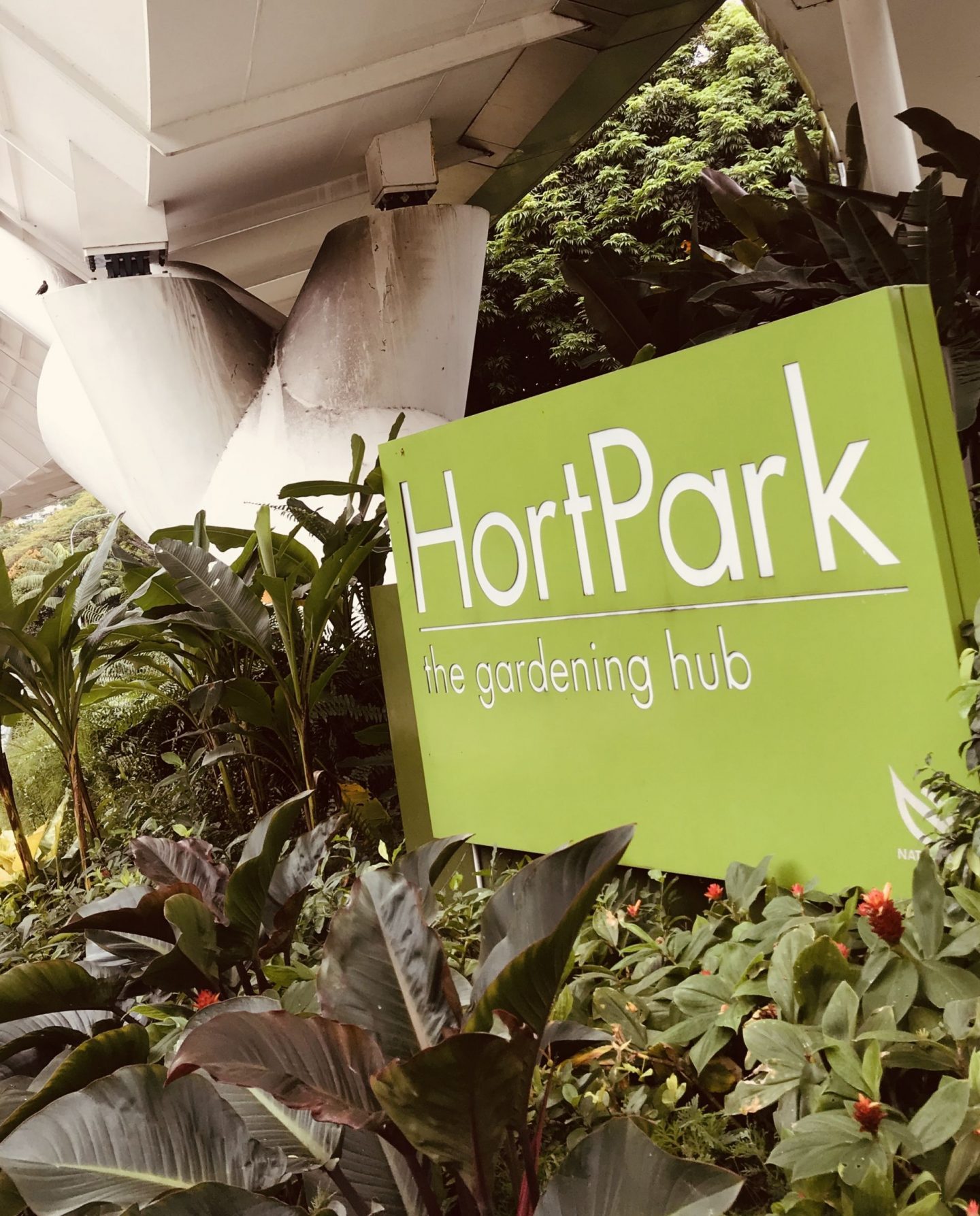 Hort-Park-SIngapore