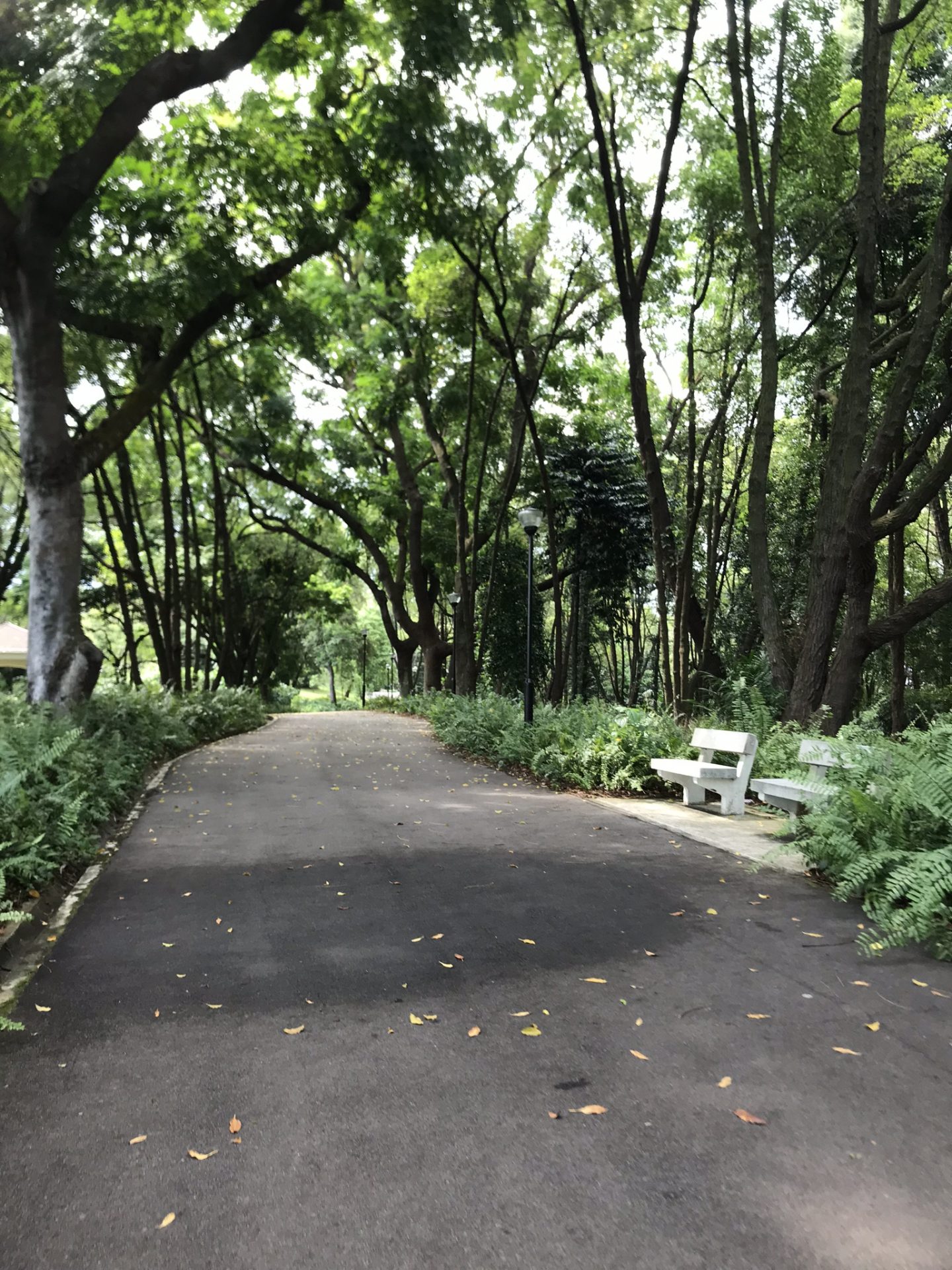 Kent-Ridge-Park