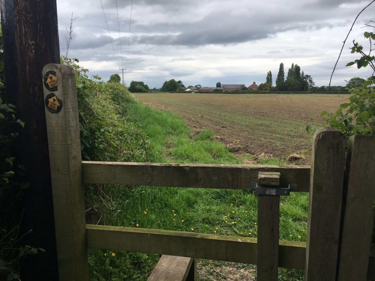 Approaching Broad Oak crossing in Rossett