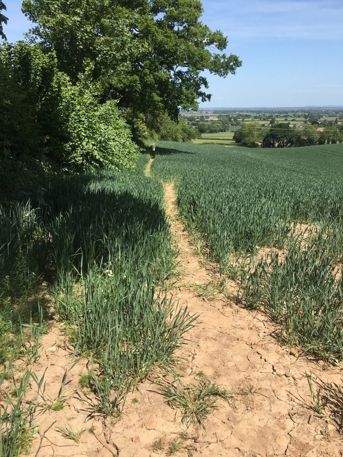 Rossett Rambles Burton to Croes Howell walk with lovely views of Cheshire