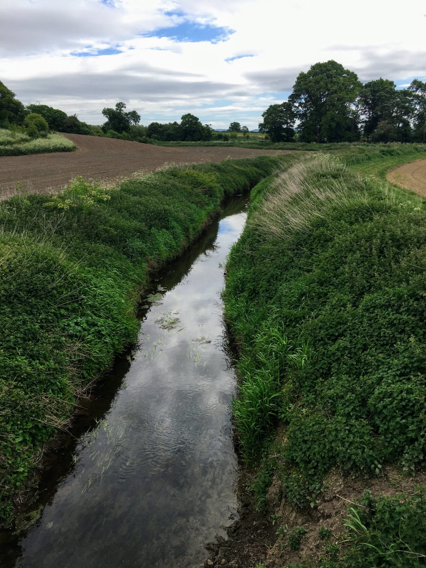 Rossett Rambles Pulford Brook the border between Wales and England