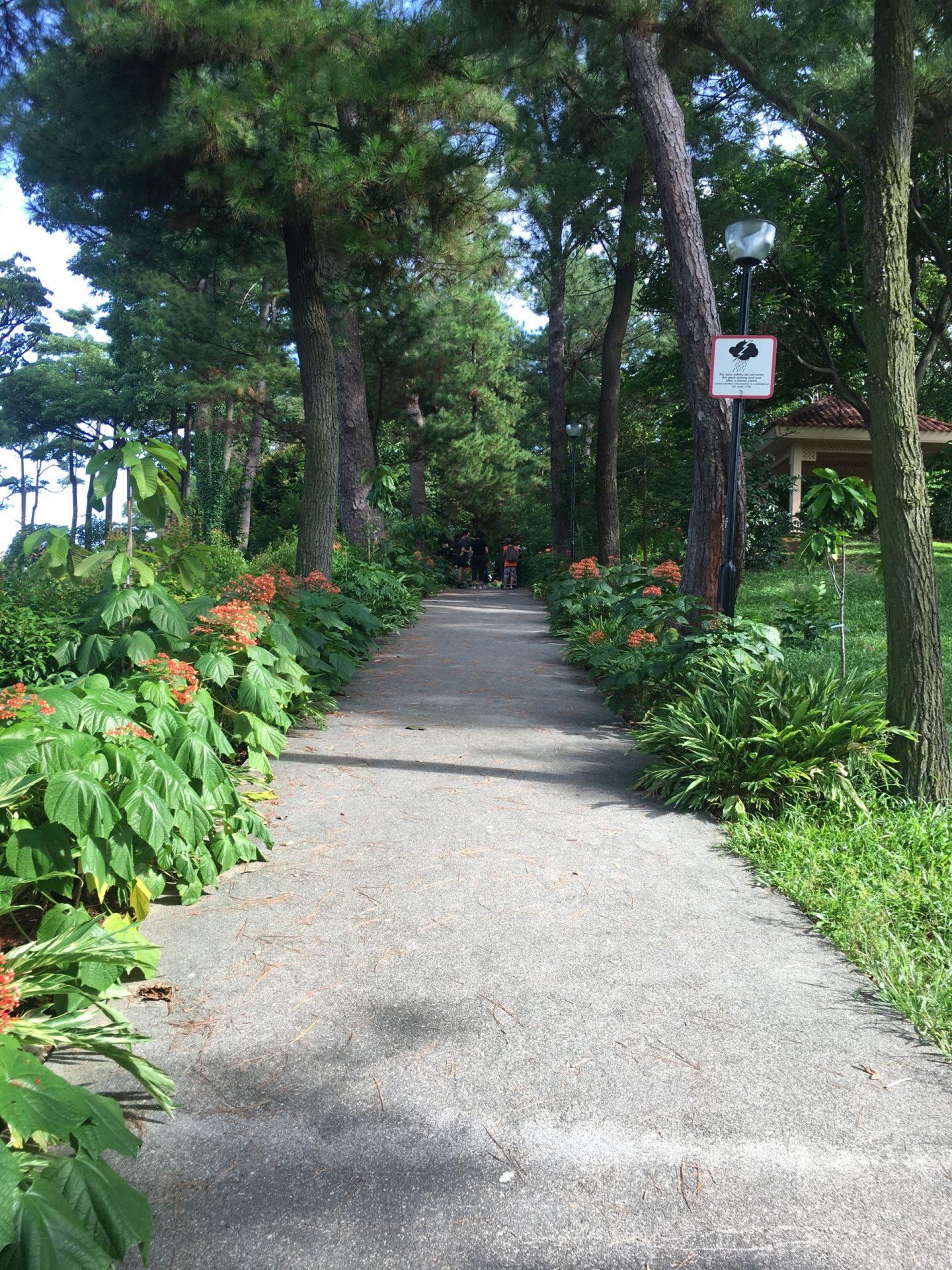 Walk-to-Mount-Faber