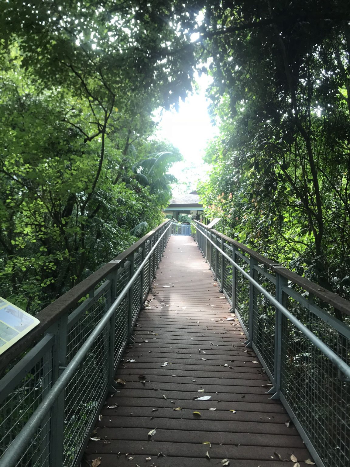 Sentosa Waterfall Imbiah Trail – Sentosa Walking Trails with Kids - The Guestbooks