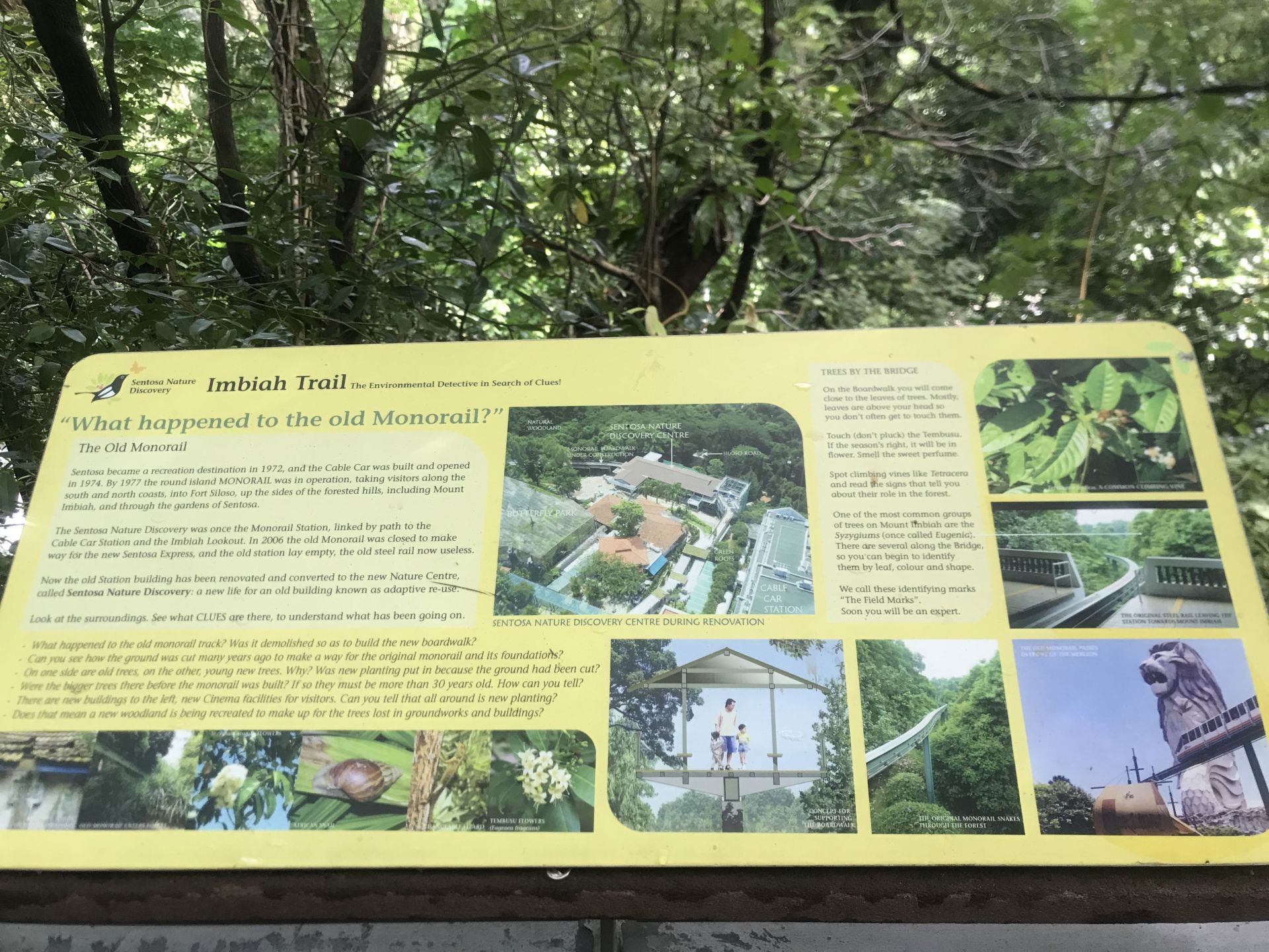 Signs-Forest-Walk-Imbiah-trail